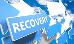 Invest in a phone system with disaster recovery options